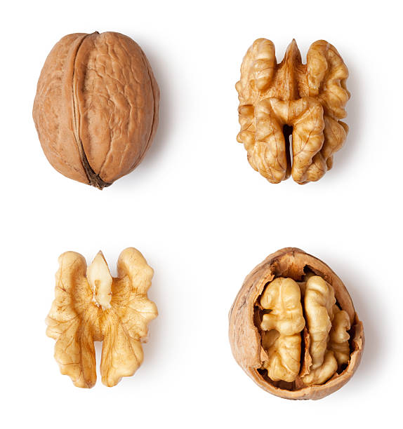 Walnut Kernel